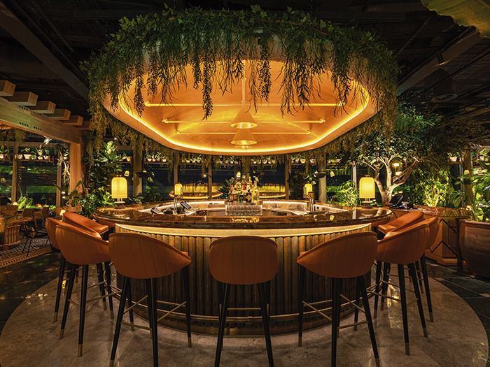 Premium Restaurant Dining